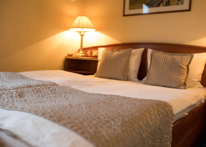 Onriver - Ms Cezanne Botel